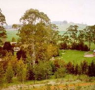 The Tasmanian Arboretum - Accommodation Ballina