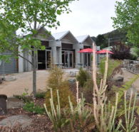 Tin Dragon Interpretation Centre and Cafe - Accommodation Ballina