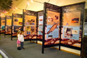 Platypus Experience - Accommodation Ballina 0