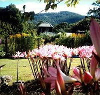 Blueberry Cottage Open Gardens - Accommodation Ballina