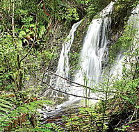 Hogarth Falls - Accommodation Ballina