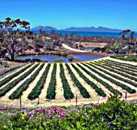 Kate's Berry Farm - Accommodation Ballina