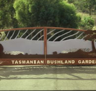 Tasmanian Bushland Garden - Accommodation Ballina