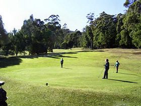 Sheffield Golf Course - Accommodation Ballina 0