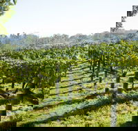 Surveyor's Hill Vineyards - Accommodation Ballina