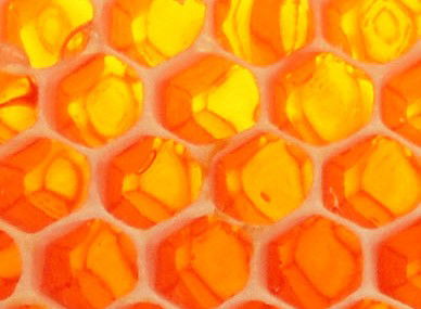 Glendevie TAS Accommodation Ballina