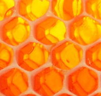 The Honey Pot - Accommodation Ballina