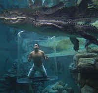 Crocosaurus Cove - Accommodation Ballina