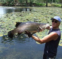 Barra Feeding - Accommodation Ballina