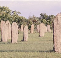 Magnetic Termite Mounds - Accommodation Ballina