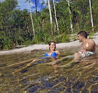 Tjaynera/Sandy Creek Falls - Accommodation Ballina