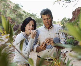 Simpsons Gap - Accommodation Ballina 0