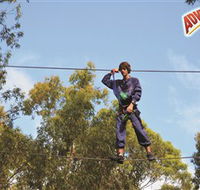 Adventure Parc at Currumbin Wildlife Sanctuary - Accommodation Ballina