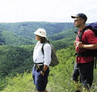 Sunshine Coast Hinterland Great Walk - Accommodation Ballina