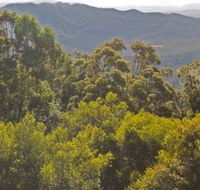 Conondale National Park - Accommodation Ballina