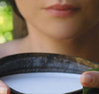 Ikatan Day Spa - Accommodation Ballina