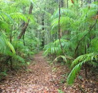 Delicia Road Conservation Park - Accommodation Ballina