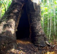 Tewantin National Park - Accommodation Ballina