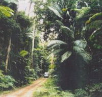 Conondale Great Walk - Accommodation Ballina
