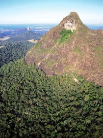 Mount Beerwah Track - Accommodation Ballina 0