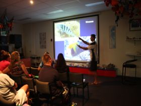 Reef Teach - Accommodation Ballina 0