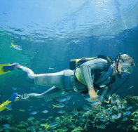 Tijou Reef - Accommodation Ballina