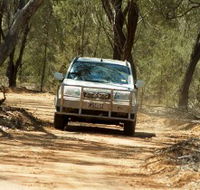 Ward River 4x4 Stock Route Trail - Accommodation Ballina