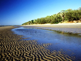 Burrum Coast National Park - Accommodation Ballina 0
