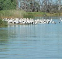 Lake Ross - Accommodation Ballina