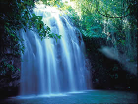 Millaa Millaa QLD Accommodation Ballina