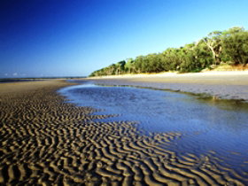 Kinkuna Section - Accommodation Ballina 0