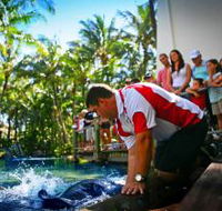 The Living Reef on Daydream Island - Accommodation Ballina