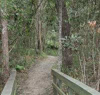 Springwood Conservation Park - Accommodation Ballina