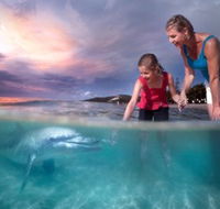 Tangalooma Island Resort - Accommodation Ballina