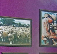 Charleville Photographic Display - Accommodation Ballina