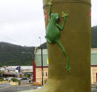 Golden Gumboot - Accommodation Ballina