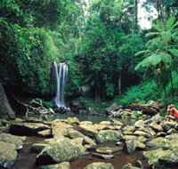 Tamborine National Park - Accommodation Ballina