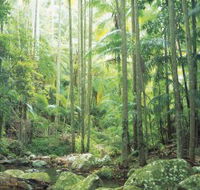Python Rock - Accommodation Ballina