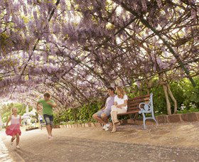 Laurel Bank Park - Accommodation Ballina 0