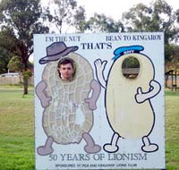 Kingaroy Lions Park - Accommodation Ballina