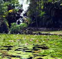 Queens Park Waterfall - Accommodation Ballina