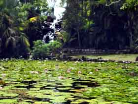 Queens Park Waterfall - Accommodation Ballina 0