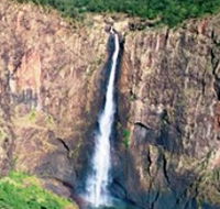 Gugigugi Butterfly Walk Wet Tropics Great Walk