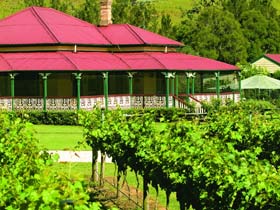 OReillys Canungra Valley Vineyards - Accommodation Ballina 0