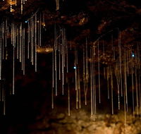 Cedar Creek Estate - Accommodation Ballina