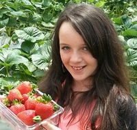 Yarra Valley Gateway Estate - Accommodation Ballina