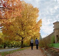 Indigo Gold Trail - Accommodation Ballina