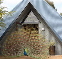 Halls Gap Zoo - Accommodation Ballina