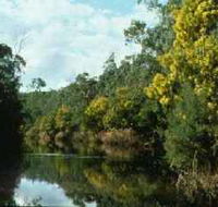 Warrandyte State Park - Accommodation Ballina