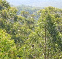 Bunyip State Park - Accommodation Ballina